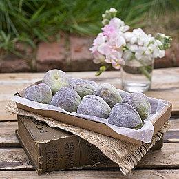 经典街机动作游戏《加农舞者》PS4 Switch移植版预告